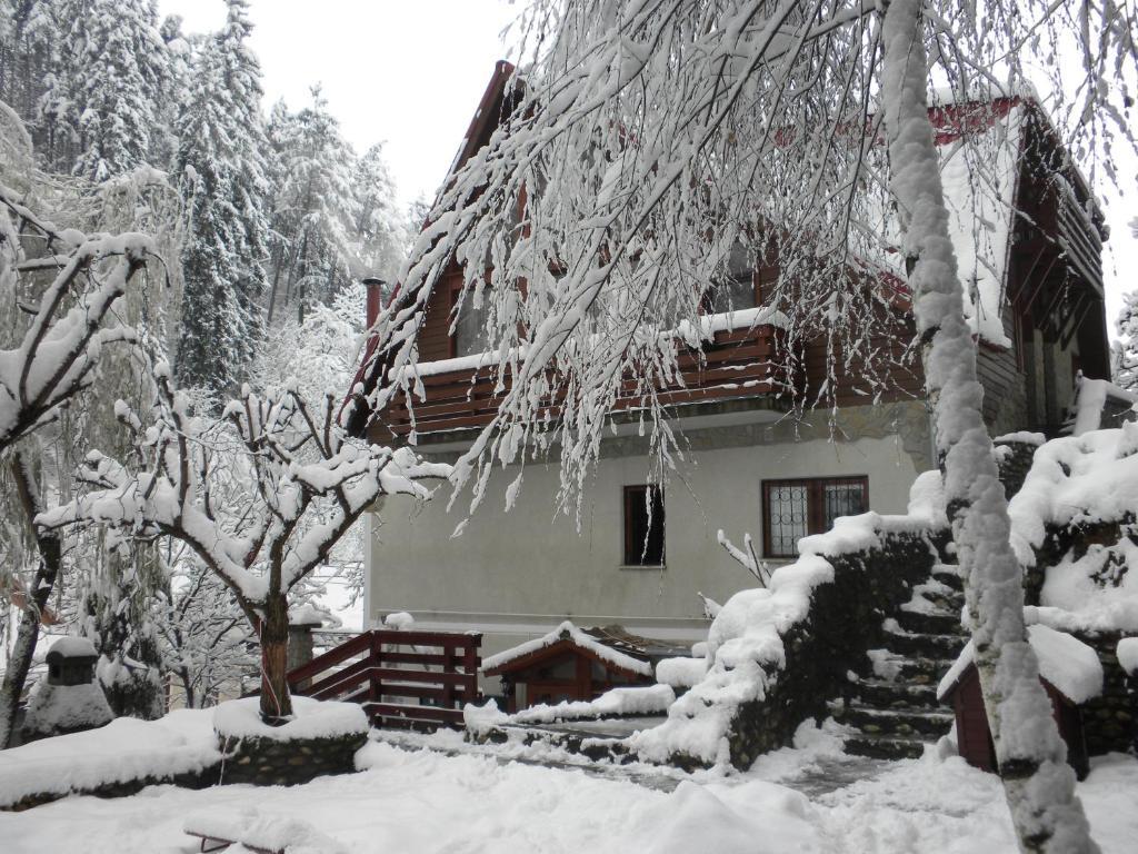 Hotel Rem'S Pension Rîşnov Exterior foto