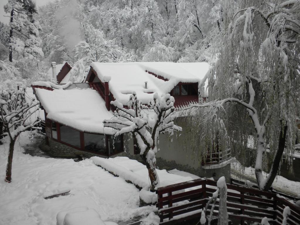 Hotel Rem'S Pension Rîşnov Exterior foto